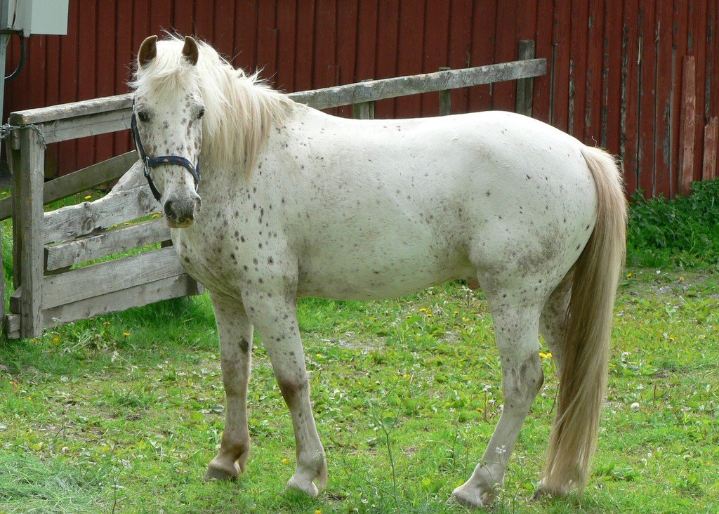 Lovász